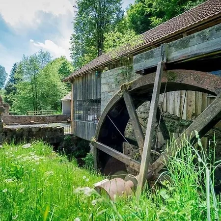 Koepplmuehle Im Herzen Von Lejlighed